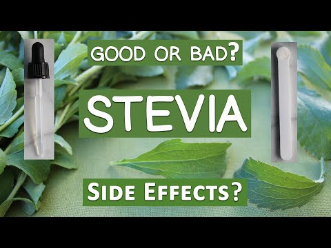 Stevia Extract Powder