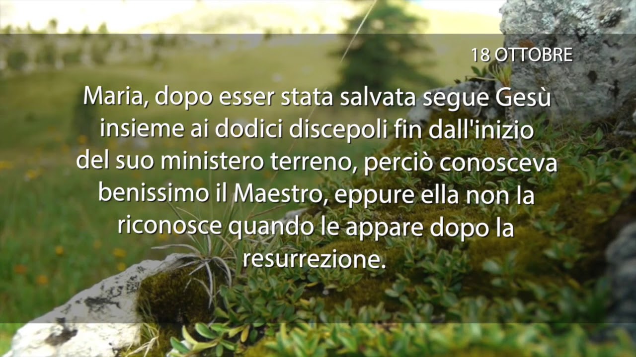Meditazione del 18 Ottobre 2018 “ LA VOCE DI DIO ”