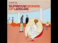 Supreme Beings of Leisure - 'Never the Same'