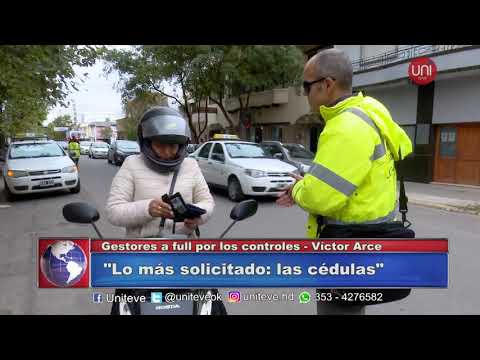Emergencia vial: EL movimiento en las gestorías