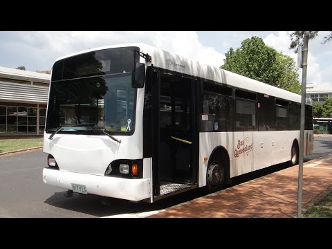 Bus Queensland 'Toowoomba' #817 - Csepel 844.13 (ABM)