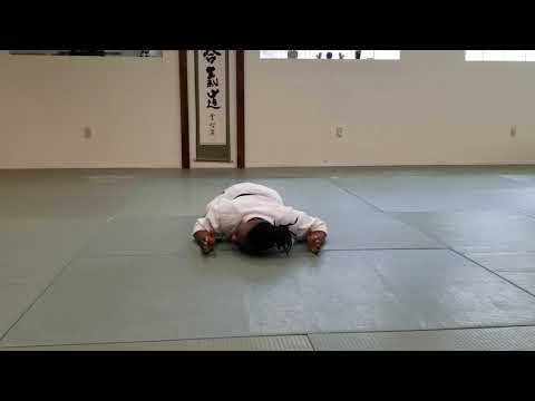 Mae Ukemi -- Basic Forward Fall