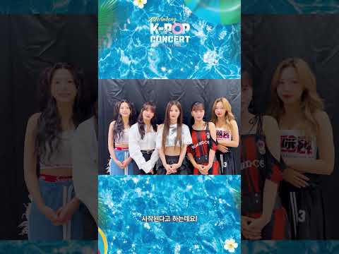 에이핑크 무대인사, 2024 안동 DIVE IN ANDONG &#39;K-POP&#39; 콘서트 #에이핑크 #QWER #비오 #래원 #김승민 #DJ허조교 #라퍼커션 #김나린 #K 팝 #콘서트