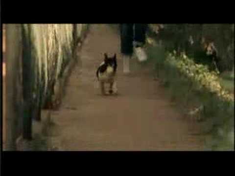 FILA Il Barbiere Di Siviglia