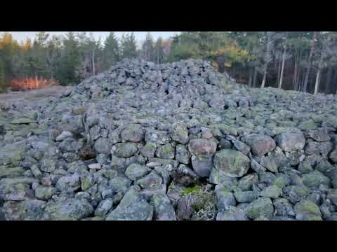 GRAVRÖSE i FORSTHEIM nära JOHANNISHUS - 2022-02-17 (RONNEBY - Blekinge) - Huawei P40 Pro