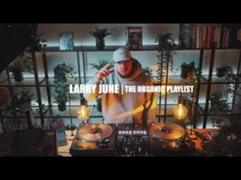 Larry June Mix | The Organic Playlist 2