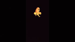 ウォーキングをするクッキーくん