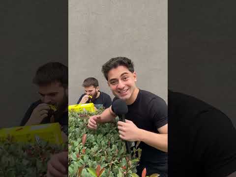 BRANKO JOVANOVIC  #fyp #viral #shorts