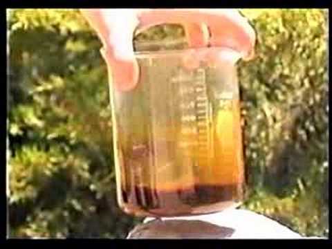 45 Seconds on the Renaissance of Tekhelet