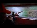 FLINTLOCK DEER HUNTING 2025 Early Pennsylvania Muzzleloader Season 2025 3 DOE DOWN With Longrifles