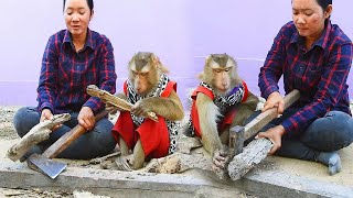 Download lagu You Won’t Believe How Smart  SokYaa Is 😍 mp3