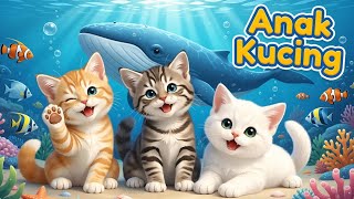 Download lagu LAGU ANAK 🇮🇩 ANAK KUCING MEONG MEONG - KITTEN SONG - LAGU ANAK BALITA VIRAL mp3 Download lagu LAGU ANAK 🇮🇩 ANAK KUCING MEONG MEONG - KITTEN SONG - LAGU ANAK BALITA VIRAL mp3