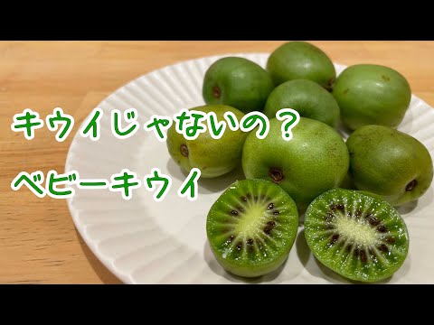 キウイベリーは食べられますか?食べられるならどうやって食べますか? 植物