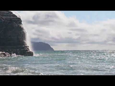 Обзор смартфона HONOR Magic 8 Pro: немного лучше во всем / Смартфоны