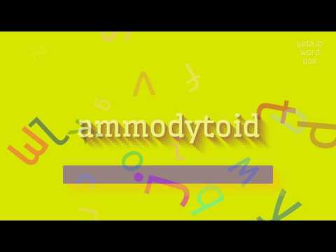AMMODYTOID - HOW TO PRONOUNCE IT? #ammodytoid