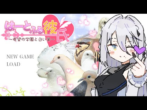 【はーとふる彼氏】鳥と恋、はじめます🕊️【ソフィア・ヴァレンタイン/にじさんじ】