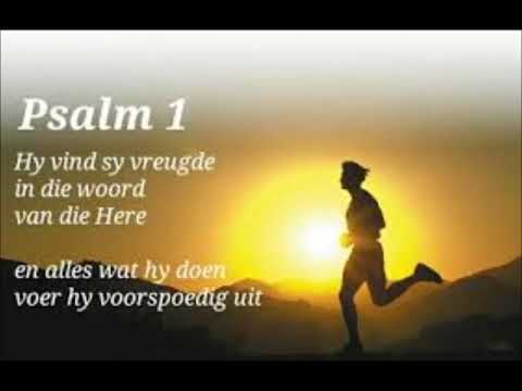 Daily Devotions: Dit gaan goed met die mens wat in die woord van die Here sy vreugde vind