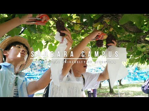 保健福祉学科 県立広島大学　オープンキャンパス２０１９　～庄原キャンパス（生物資源科学部）～