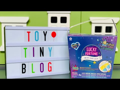 Lucky Fortune Bracelets Takeout Box | Toy Tiny Video