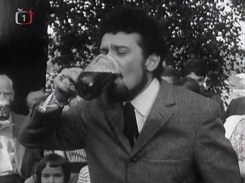 Waldemar Matuška - Už koníček pádí (1967)