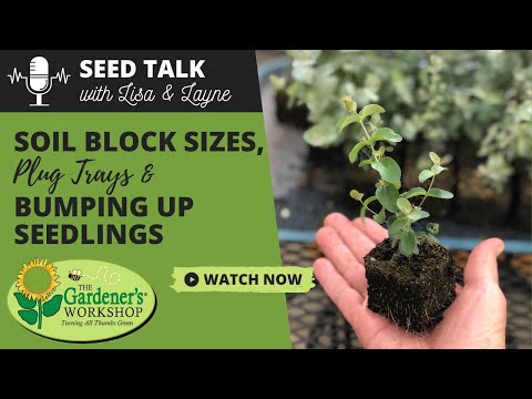 , title : '#22 - Soil Block Sizes, Plug Trays & Bumping Up Seedlings'