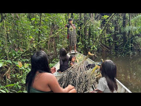 How Indigenous People Prepare Açaí