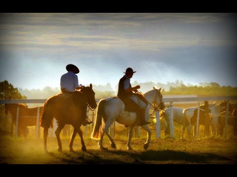 De Cima do Arreio (Walter Morais)