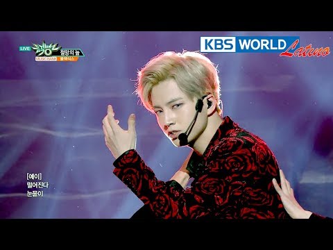 BLACK6IX - Swamp of Despair | 블랙식스 - 절망의 늪 [Music Bank / 2019.02.08]
