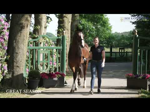 Cat. No 7: Great Season (Grey Flanell x Dante Weltino)