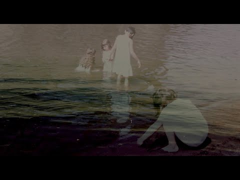 Blue Cranes feat. Peter Broderick & Holland Andrews - "The Back Steps" (Official Music Video)