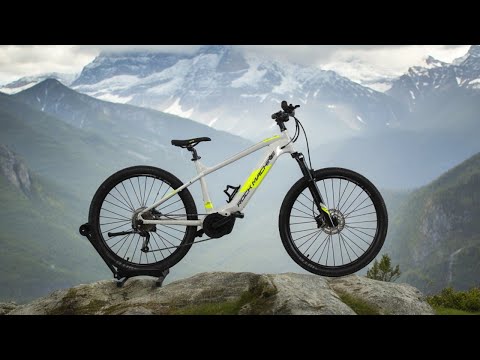 Review VTT électrique Rock Machine Torrent INT e50-29B LOEWI