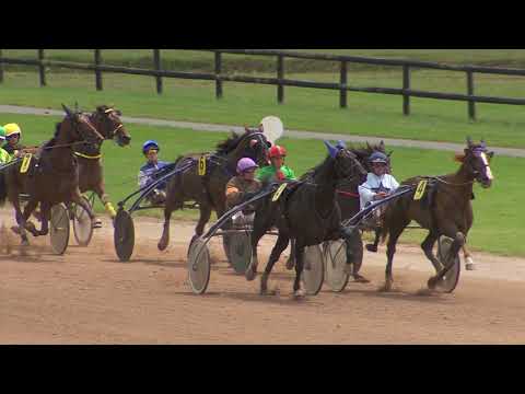 Grand National du Trot Paris-Turf 2016 - Etape 6 Laval - La course - BELINA JOSSELYN