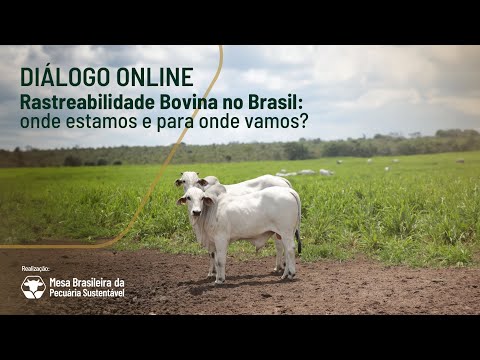 Mesa Brasileira da Pecuária Sustentável