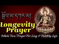 Longevity Prayer སྒྲོལ དཀར མ White Tara Prayer For Long Healthy Life Dolma Prayer 