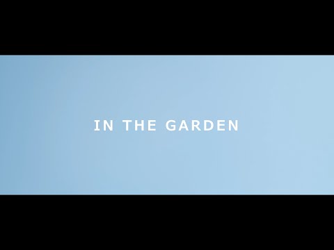 Apollo Stands - In The Garden (Official Music Video)