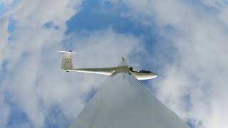 Mosquito Aerobatics
