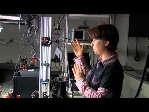 Cells in Motion – an interdisciplinary research network at the University of Münster