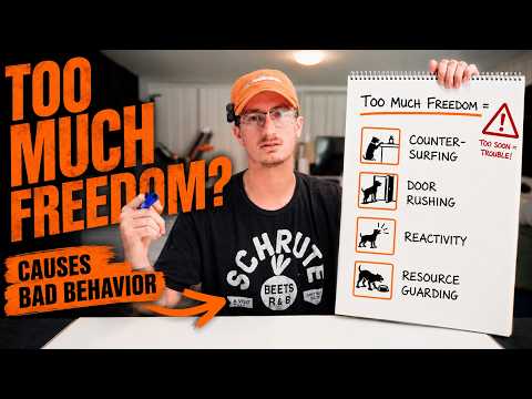 Tristan Gibson Dog Training video.