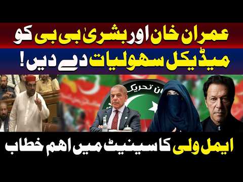ایمل ولی خان کا عمران خان اور بشریٰ بی بی کو طبی سہولیات فراہم کرنے کا مطالبہ