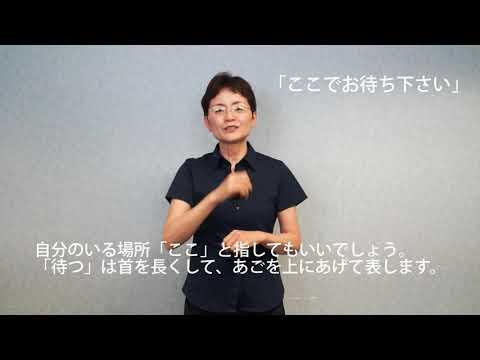 「ここ」の日本手話の表し方