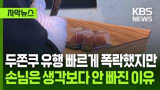 [자막뉴스] 두쫀쿠 유행 빠르게 폭락했지만 손님은 생각보다 안 빠진 이유 / KBS 2026.05.05.