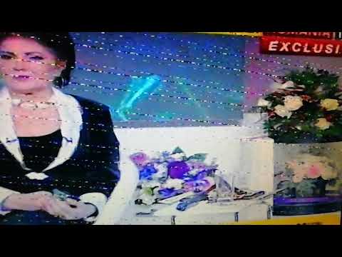 PĂDURE, PĂDURE... DANIELA CONDURACHE 2019