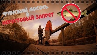 Ссылка