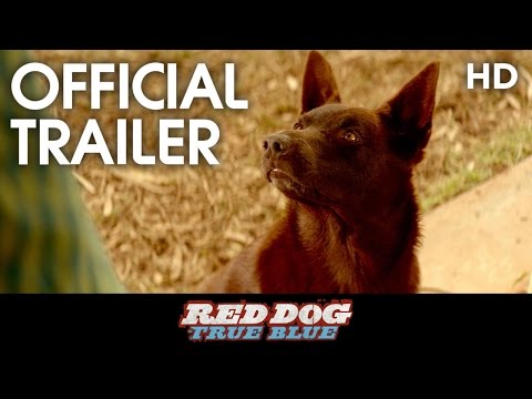RED DOG: True Blue (2016) Teaser Trailer [HD]