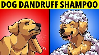 Dog Dandruff Shampoo - How To Get Rid of Dog Dandruff