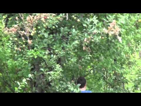 Comuna Sarbeni de Jos