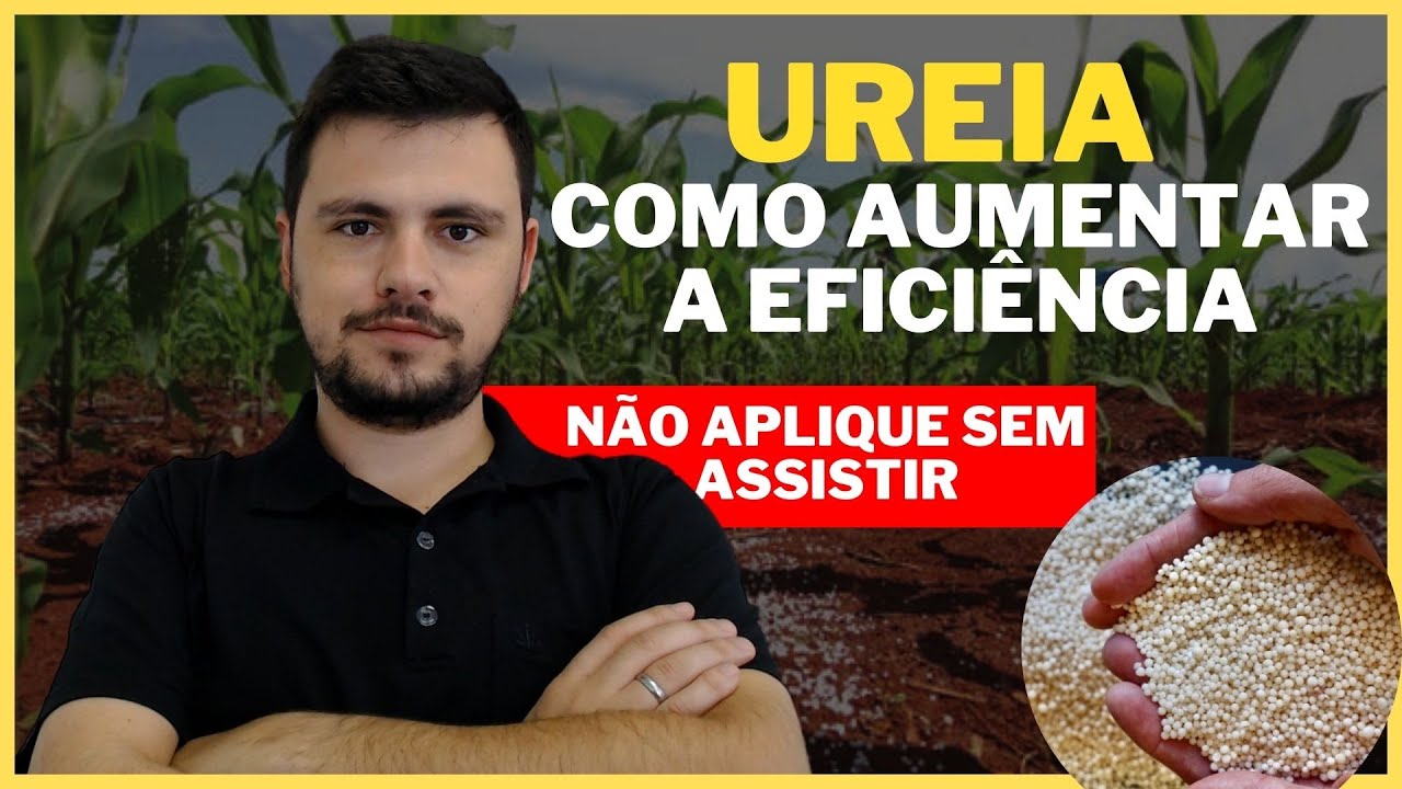 Como ser mais eficiente no uso da UREIA e perder menos