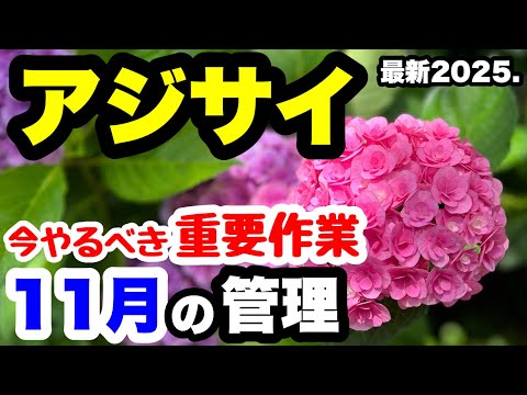どの果樹が霜に強いか