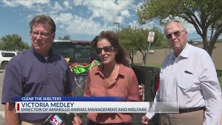 Greg Lair Auto delivers ‘Fill the Truck’ donations after 2025 Clear the Shelters campaign