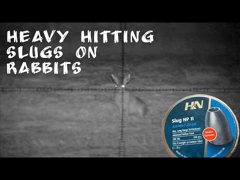 Bunny Hunting at Night with Night Vision